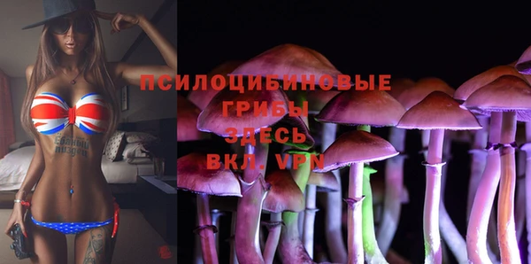 герыч Сатка